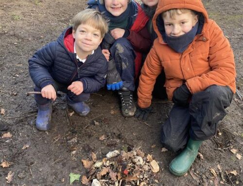 Andy Goldsworthy Sculptures!