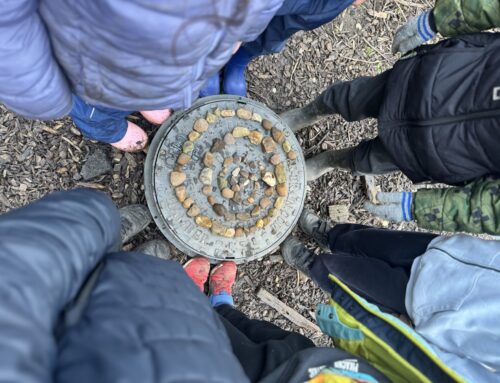 A Tree-mendous Tuesday Exploring Andy Goldsworthy