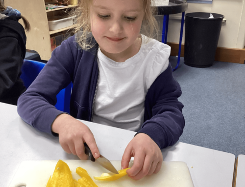 Year 2 make delicious healthy wraps!