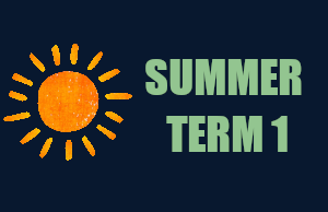 Summer 1 Learning Letter!
