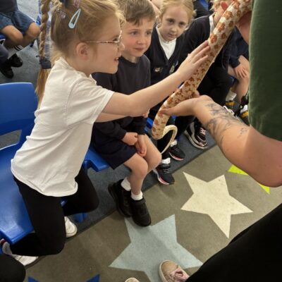 White Post Farm visit Year 1