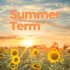 Summer Term 2 Learning Letter!